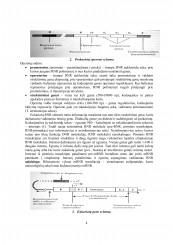 www.speros.lt